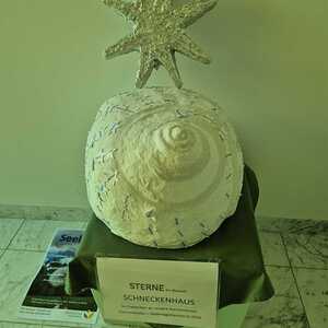 Besuch der Firmlinge auf der Frühgeborenenstation in Graz: Ein Ort der Hoffnung