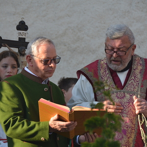 Palmweihe 2025 in Peggau